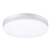 Светильник Ландшафтный Светодиодный Настенно-потолочного Монтажа Opal Street, Led, Белый (Novotech, 358889)