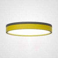 Потолочный светильник KIER D40 Yellow (ImperiumLoft, 181028-26)