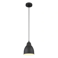 Подвесной светильник Arte Lamp BRACCIO A2054SP-1BK