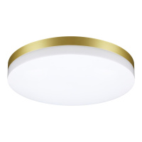 Светильник Ландшафтный Светодиодный Настенно-потолочного Монтажа Opal Street, Led, Золотой (Novotech, 358892)